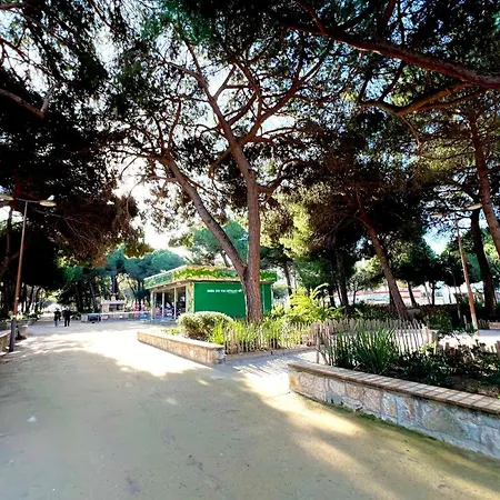 Apartment Les Pins Pinede Sector - 2 People